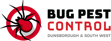 Bug Pest Control