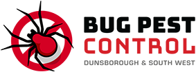 Bug Pest Control